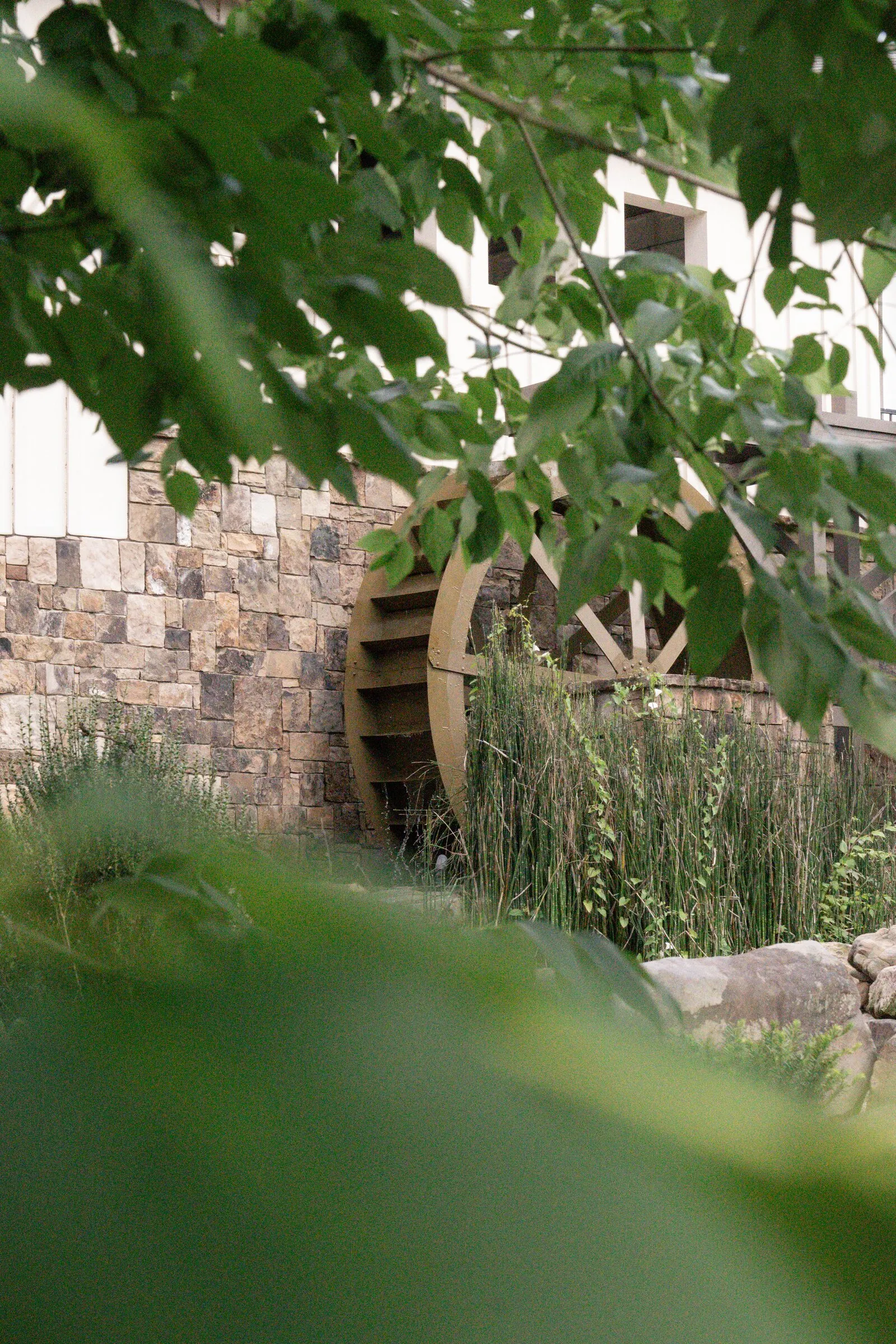 The Millbridge waterwheel seen through green leaves